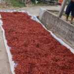 Private Motorbike Tour Discover the Local Life in Vietnam - Authenticity and Value