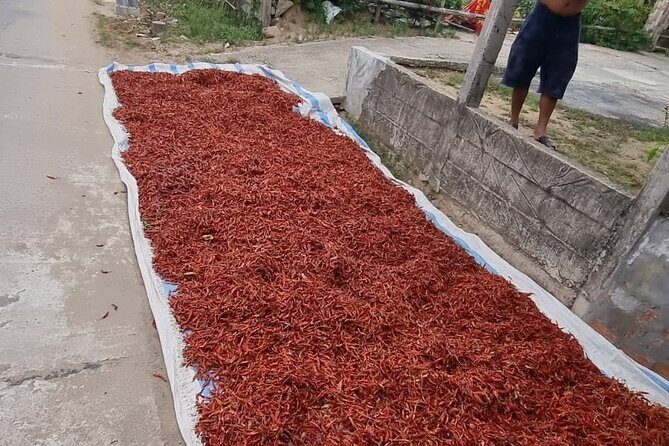 Private Motorbike Tour Discover the Local Life in Vietnam - Authenticity and Value