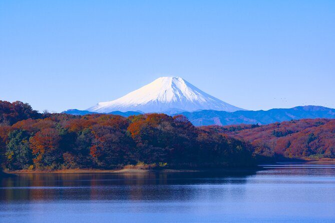 Private Mount Fuji And Hakone Tour with English Guide - What’s Included and What’s Not