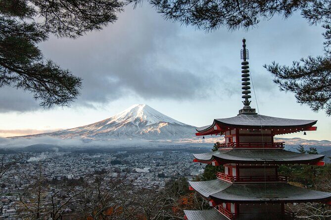 Private Mt. Fuji & Hakone Day Tour  Scenic Views & Hot Springs - Food & Additional Inclusions