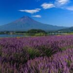Private Mt Fuji Tour with English Speaking Driver - Why This Tour Offers Great Value