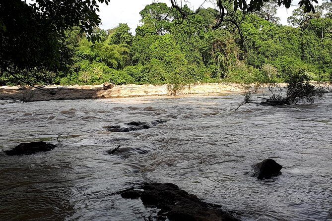 Private Nam Cat Tien National Park 2 Days 1 Night - Who Should Consider This Tour?