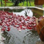 Private Nanjing Airport Transfer to City Center or Tangshan Hot Spring Resorts - The Sum Up