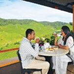 Private Nature Trip to Cameron Highlands from Kuala Lumpur - FAQ