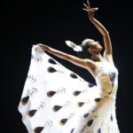 Private Night Tour to Enjoy Dynamic Yunnan Show - What Travelers Might Appreciate