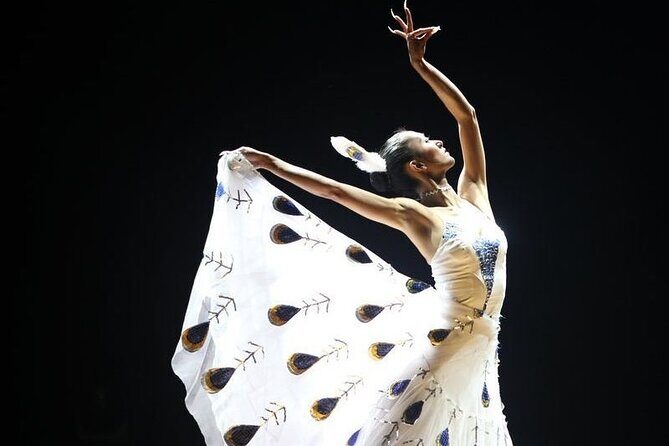 Private Night Tour to Enjoy Dynamic Yunnan Show - What Travelers Might Appreciate