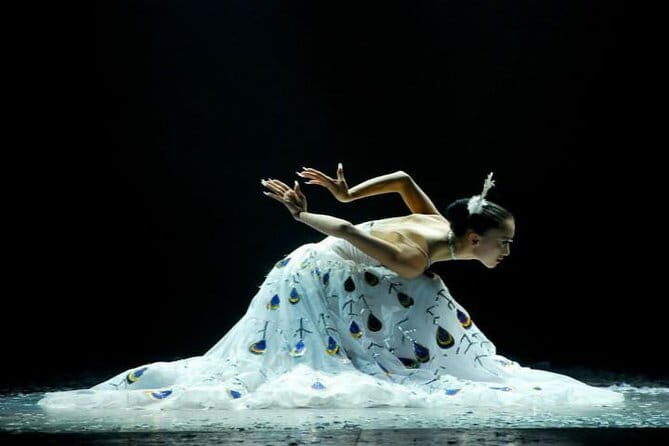 Private Night Tour to Enjoy Dynamic Yunnan Show - The Experience from a Practical Perspective