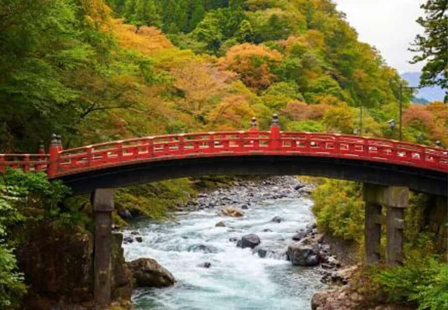 Private Nikko Day Trip from Tokyo  UNESCO Shrines & Nature - Why We Think This Tour Is Worth It