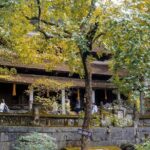 Private Ninh Binh Day Trip: Trang An & Bich Dong - Practical Aspects and What to Expect