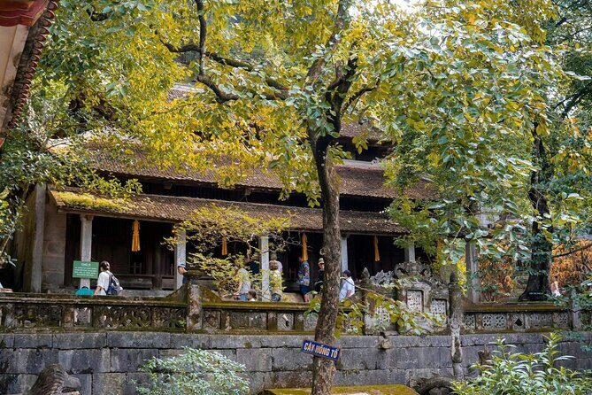 Private Ninh Binh Day Trip: Trang An & Bich Dong - Practical Aspects and What to Expect