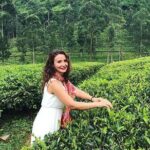 Private Nuwara Eliya City Tour Including Main Attractions - What Travelers Can Expect