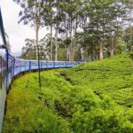 Private Nuwara Eliya Day Trip from Colombo  All Inclusive - A Practical Guide to the Nuwara Eliya Day Trip