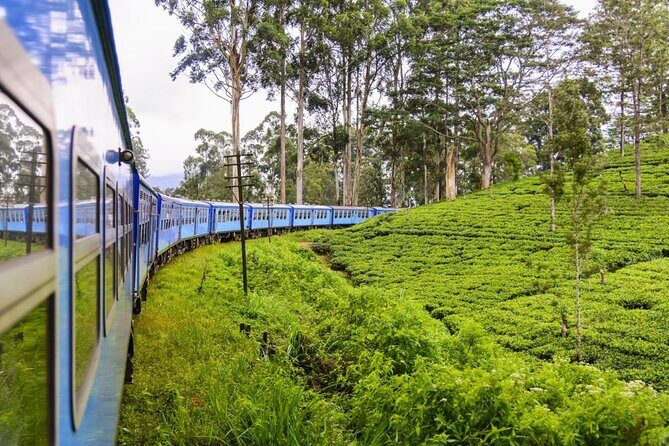 Private Nuwara Eliya Day Trip from Colombo  All Inclusive - A Practical Guide to the Nuwara Eliya Day Trip