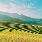 Private Off The Beaten Track Northeast Vietnam 7 Days Tour - Who Should Consider This Tour?