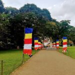 Private One day Tour to the Last remaining Kingdom "Kandy" in Sri Lanka. - The Itinerary Breakdown: What to Expect