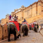 Private Overnight Jaipur City Tour from Delhi - Transportation, Guides, and Flexibility