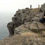 Private Package Full Day Tour In Jeju Island - South of Jeju - Transportation & Logistics