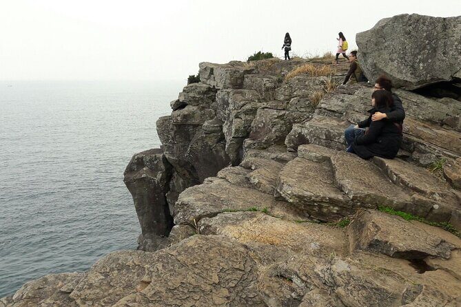 Private Package Full Day Tour In Jeju Island - South of Jeju - Transportation & Logistics