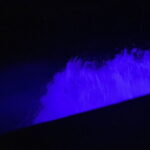 Private Phang Nga Bay Tour with Planktons Swim - What’s Included and Why It Matters