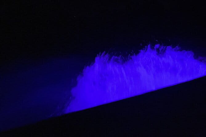 Private Phang Nga Bay Tour with Planktons Swim - What’s Included and Why It Matters