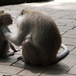 Private Photo and Video Session in Bali - The Sum Up: Who Is This Tour Perfect For?