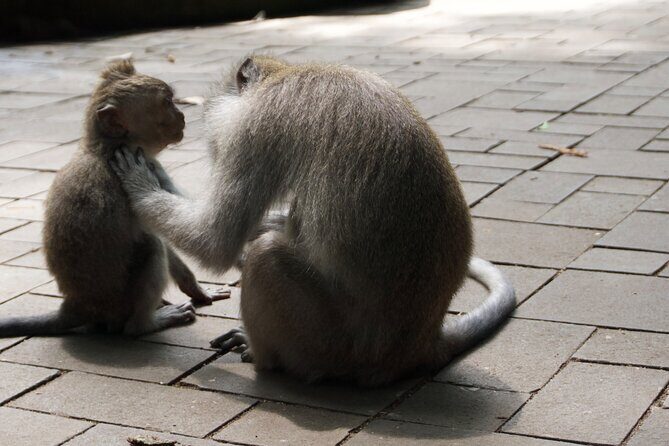 Private Photo and Video Session in Bali - The Sum Up: Who Is This Tour Perfect For?