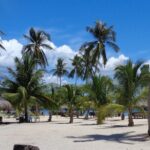 Private Puerto princesa island hopping excursion, - Discovering Puerto Princesa’s Coastal Treasures