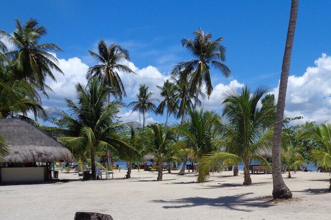 Private Puerto princesa island hopping excursion, - Discovering Puerto Princesa’s Coastal Treasures