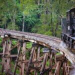 Private Puffing Billy Steam Train and Healesville Sanctuary Tours - Practical Details & What to Expect