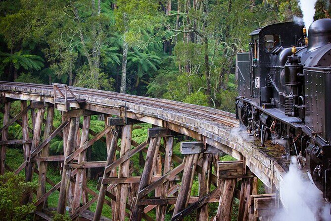 Private Puffing Billy Steam Train and Healesville Sanctuary Tours - Practical Details & What to Expect