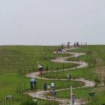 Private Pykara Lake Tour in Ooty with Car - Discovering the Pykara Lake Tour: What’s Included and What to Expect