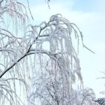 Private Round Trip Transfer to Nanshan, Jundushan or Huaibei Ski Resort from Beijing - Practical Tips for Your Ski Day