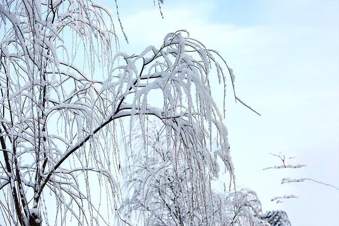 Private Round Trip Transfer to Nanshan, Jundushan or Huaibei Ski Resort from Beijing - Practical Tips for Your Ski Day