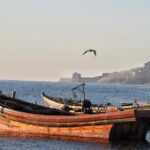 Private Round-Trip Transfer to Shanhaiguan Pass and Laolongtou from Beijing - Who Should Consider This Tour?