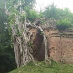 Private Sambor Prei Kuk Temple Tour - Why This Tour Offers Great Value