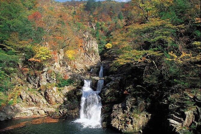 Private Sandankyo Valley Tour from Hiroshima with a Local Guide - Who Would Love This Tour?