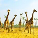 Private Seasonal Day Tour to Beidaihe from Beijing with Birding Experience - What’s Included — And What It Means for You