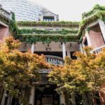 Private Shanghai Walking Tour:Shikumen,Jade Buddha,M50,1000 TREES - Lunch Break: A Taste of Local and International Flavors