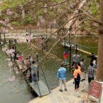 Private Shilinxia Area and UFO Glass Platform Day Tour with Lunch - Practical Considerations