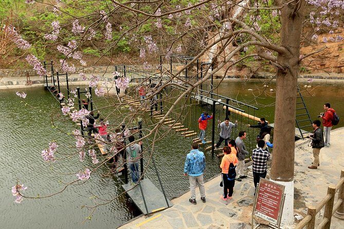 Private Shilinxia Area and UFO Glass Platform Day Tour with Lunch - Practical Considerations