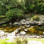 Private Shore Excursion Fukuoka : Yanagawa Cruise, Dazaifu - Practical Details & How This Tour Adds Value