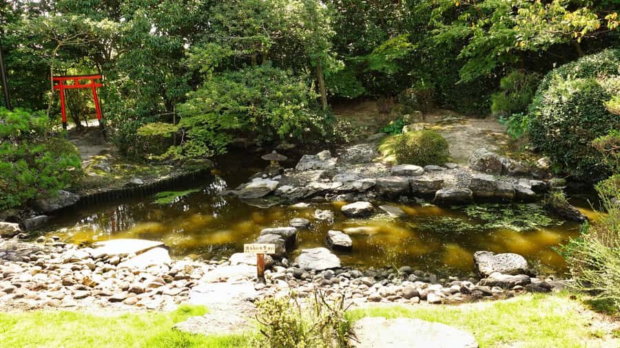 Private Shore Excursion Fukuoka : Yanagawa Cruise, Dazaifu - Practical Details & How This Tour Adds Value