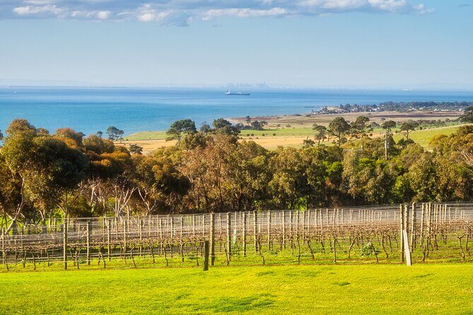 Private Shore Tour: Bellarine Peninsula Wine Experience - What Sets This Tour Apart?