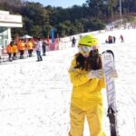 Private Ski Tour to Jisan, Vivaldy or Elysian Ski Resort - Who Should Consider This Tour?