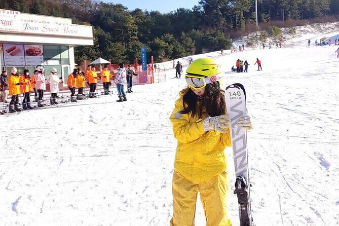 Private Ski Tour to Jisan, Vivaldy or Elysian Ski Resort - Who Should Consider This Tour?