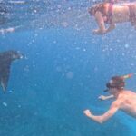 Private Snorkeling from Nusa Penida - The Marine Stops: What Makes Each Unique