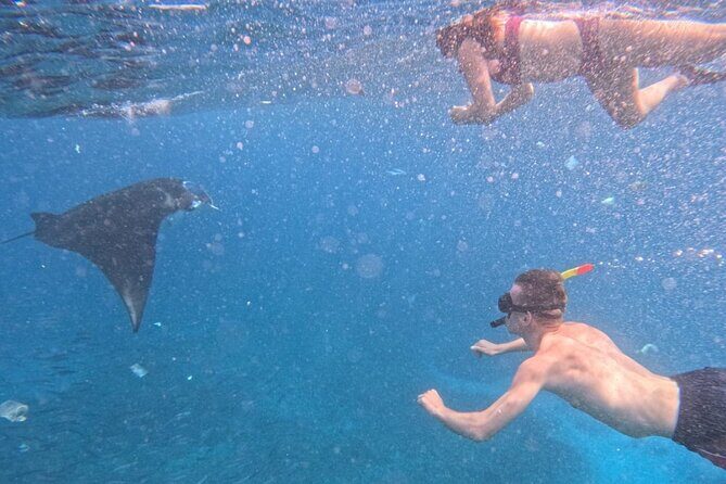 Private Snorkeling from Nusa Penida - The Marine Stops: What Makes Each Unique