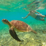 Private Snorkeling in 3 GiIi Islands - Authentic Experiences and Practical Tips