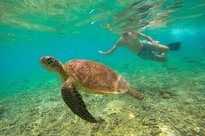 Private Snorkeling in 3 GiIi Islands - Authentic Experiences and Practical Tips