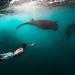 Private Snorkeling in Nusa Penida - What Makes This Snorkeling Tour Special?